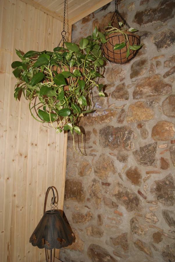 Apartament Codina 40 Appartamento Torroella de Montgrí Esterno foto