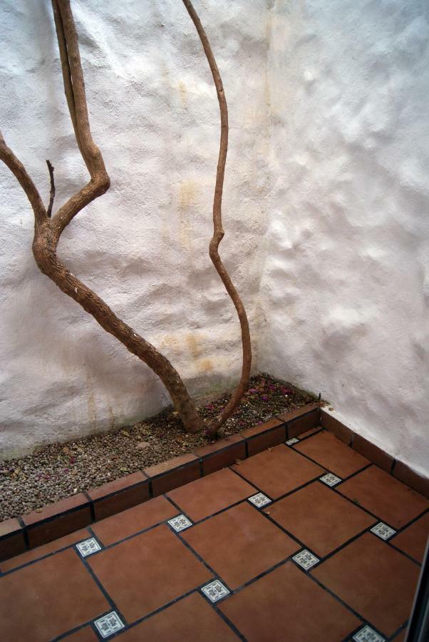 Apartament Codina 40 Appartamento Torroella de Montgrí Esterno foto